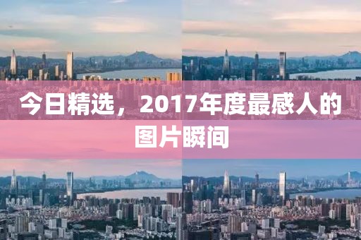 今日精選，2017年度最感人的圖片瞬間