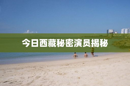 今日西藏秘密演員揭秘