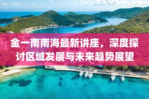 金一南南海最新講座，深度探討區域發展與未來趨勢展望