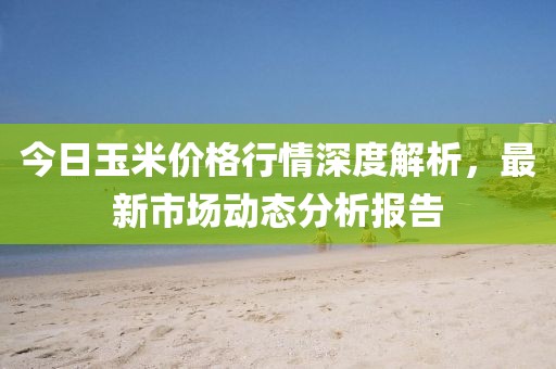 今日玉米價(jià)格行情深度解析,最新市場動(dòng)態(tài)分析報(bào)告