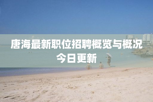 唐海最新職位招聘概覽與概況今日更新