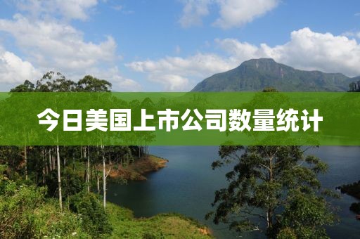 今日美國上市公司數量統計