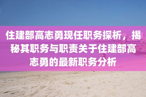 住建部高志勇現任職務探析，揭秘其職務與職責關于住建部高志勇的最新職務分析
