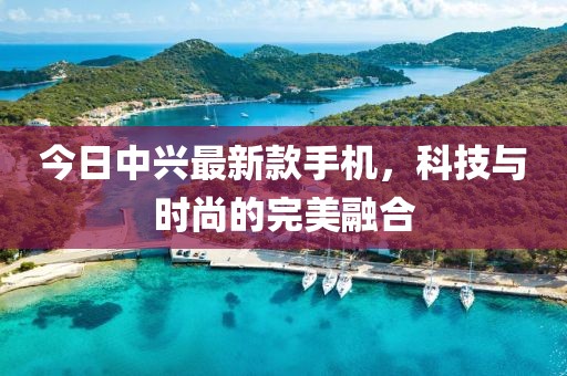 今日中興最新款手機(jī),科技與時尚的完美融合