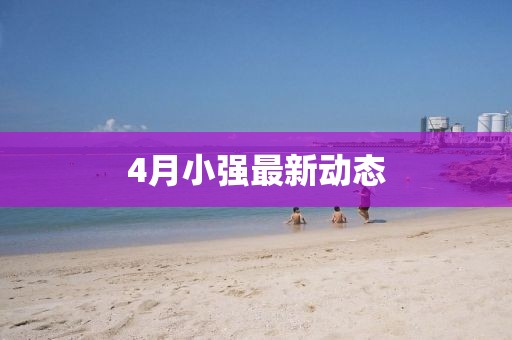 4月小強最新動態