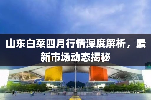 山東白菜四月行情深度解析，最新市場動態揭秘