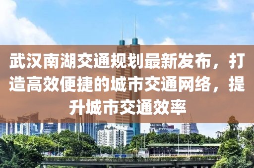武漢南湖交通規(guī)劃最新發(fā)布，打造高效便捷的城市交通網(wǎng)絡(luò)，提升城市交通效率