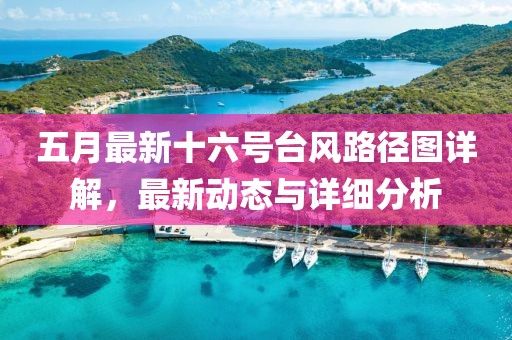五月最新十六號(hào)臺(tái)風(fēng)路徑圖詳解，最新動(dòng)態(tài)與詳細(xì)分析