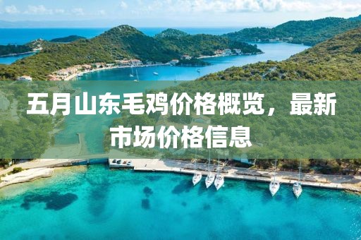 五月山東毛雞價格概覽，最新市場價格信息