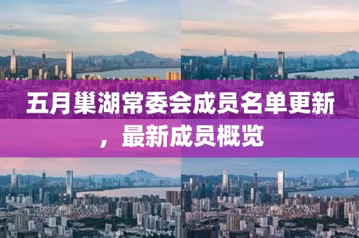五月巢湖常委會成員名單更新，最新成員概覽