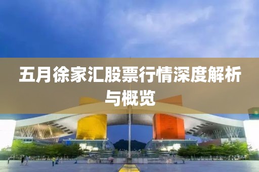五月徐家匯股票行情深度解析與概覽
