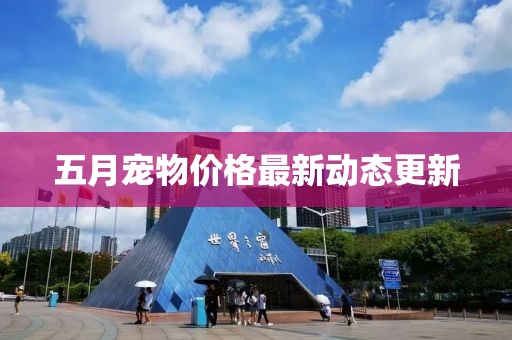 五月寵物價格最新動態更新