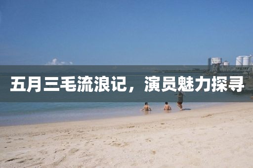 五月三毛流浪記，演員魅力探尋