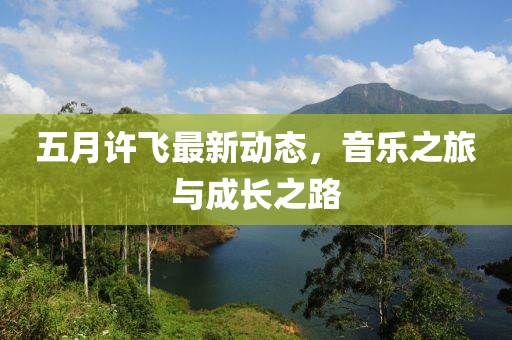 五月許飛最新動態,音樂之旅與成長之路