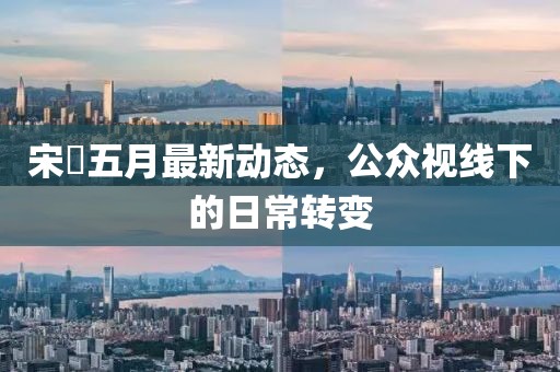 宋喆五月最新動(dòng)態(tài),公眾視線下的日常轉(zhuǎn)變