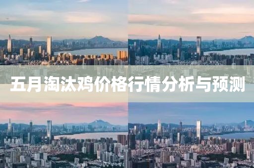 五月淘汰雞價格行情分析與預測