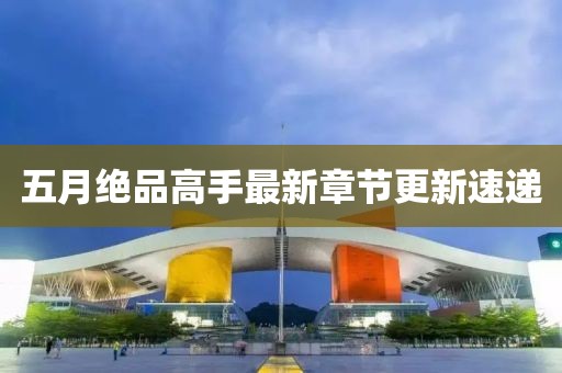 五月絕品高手最新章節更新速遞