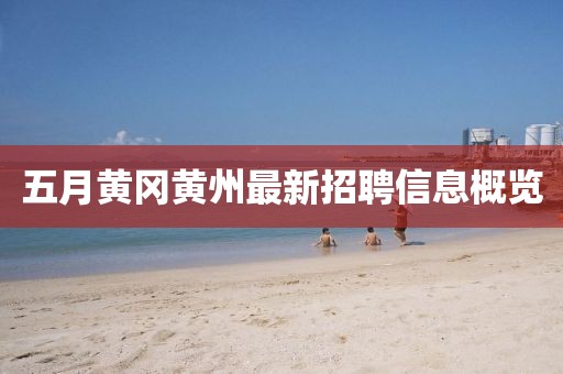 五月黃岡黃州最新招聘信息概覽