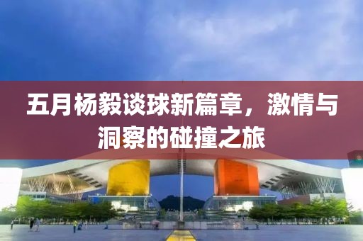 五月楊毅談球新篇章，激情與洞察的碰撞之旅
