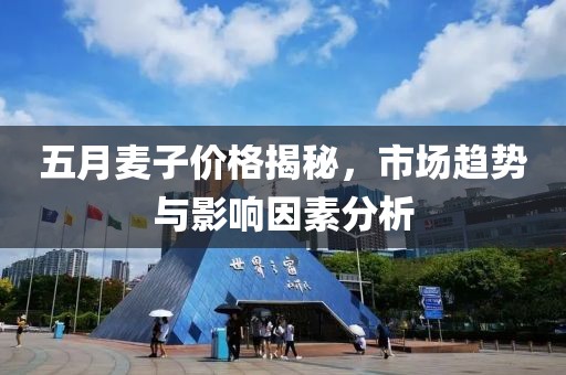 五月麥子價格揭秘，市場趨勢與影響因素分析