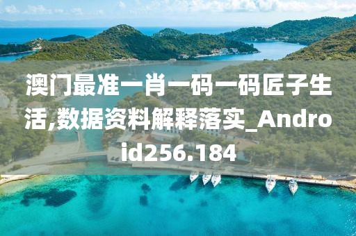 澳門最準(zhǔn)一肖一碼一碼匠子生活,數(shù)據(jù)資料解釋落實_Android256.184