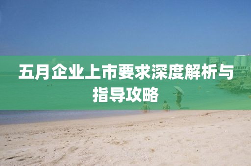 五月企業上市要求深度解析與指導攻略