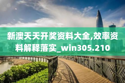 新澳天天開獎資料大全,效率資料解釋落實_win305.210