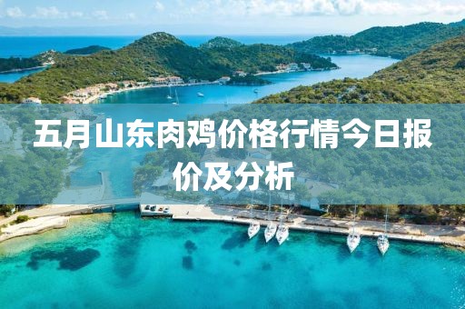 五月山東肉雞價格行情今日報價及分析