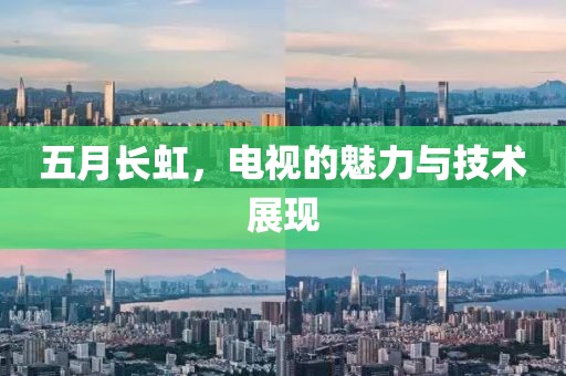 五月長虹，電視的魅力與技術展現