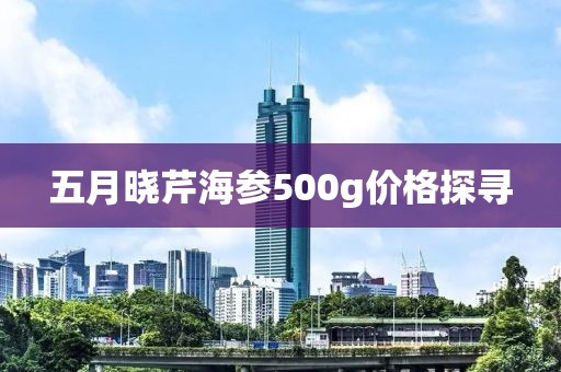 五月曉芹海參500g價格探尋