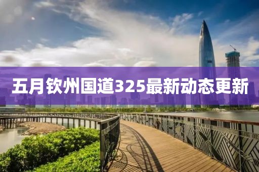 五月欽州國道325最新動態更新