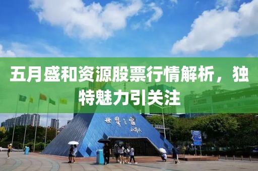 五月盛和資源股票行情解析，獨特魅力引關注