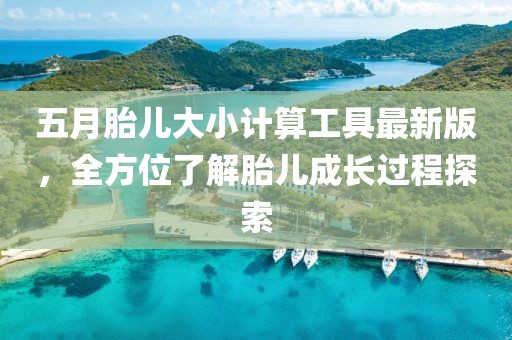五月胎兒大小計算工具最新版，全方位了解胎兒成長過程探索