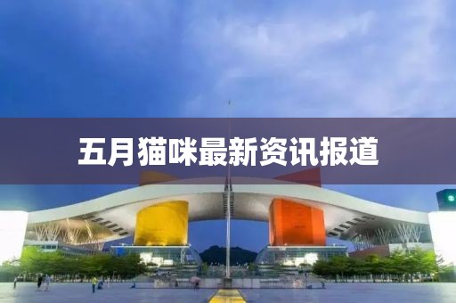 五月貓咪最新資訊報道