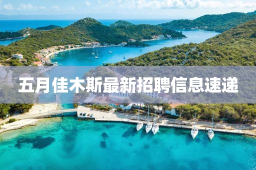 五月佳木斯最新招聘信息速遞