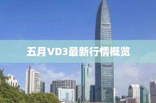 五月VD3最新行情概覽