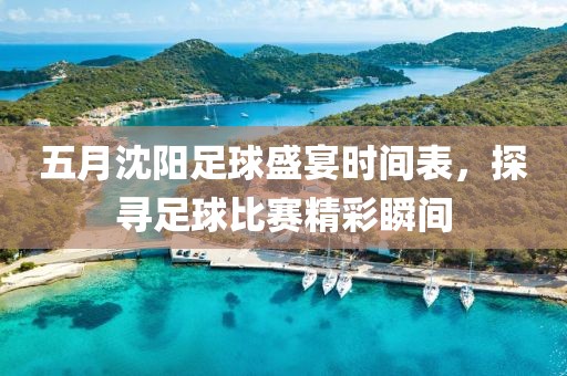 五月沈陽(yáng)足球盛宴時(shí)間表，探尋足球比賽精彩瞬間