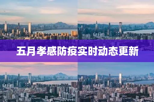 五月孝感防疫實時動態更新