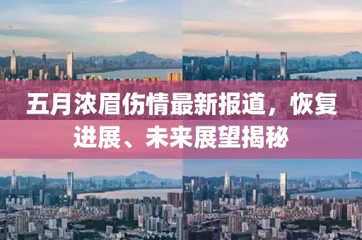 五月濃眉傷情最新報道，恢復進展、未來展望揭秘