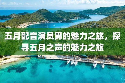 五月配音演員男的魅力之旅，探尋五月之聲的魅力之旅