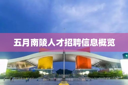 五月南陵人才招聘信息概覽