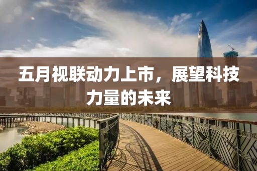 回轉(zhuǎn)馬達(dá) 第30頁