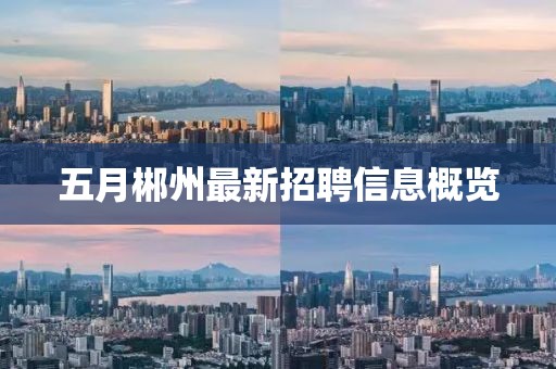 五月郴州最新招聘信息概覽