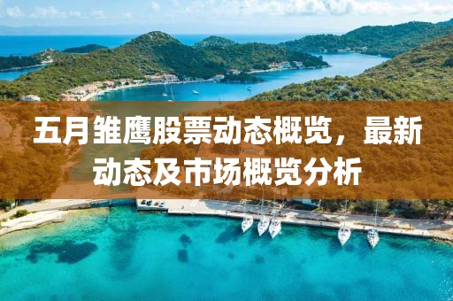 五月雛鷹股票動態概覽，最新動態及市場概覽分析