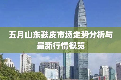五月山東麩皮市場走勢分析與最新行情概覽