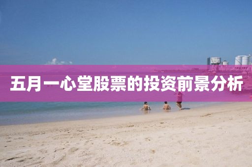 五月一心堂股票的投資前景分析