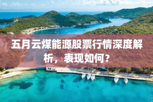 五月云煤能源股票行情深度解析,表現如何?