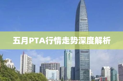 五月PTA行情走勢(shì)深度解析