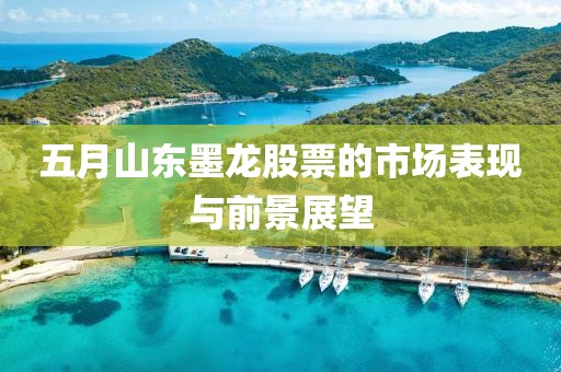 五月山東墨龍股票的市場表現與前景展望