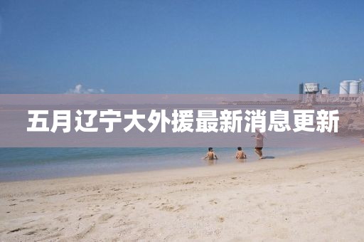 五月遼寧大外援最新消息更新